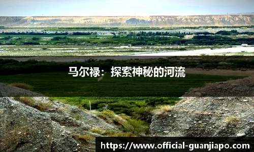 管家婆官网资料